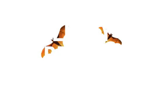 Lucky Dreams